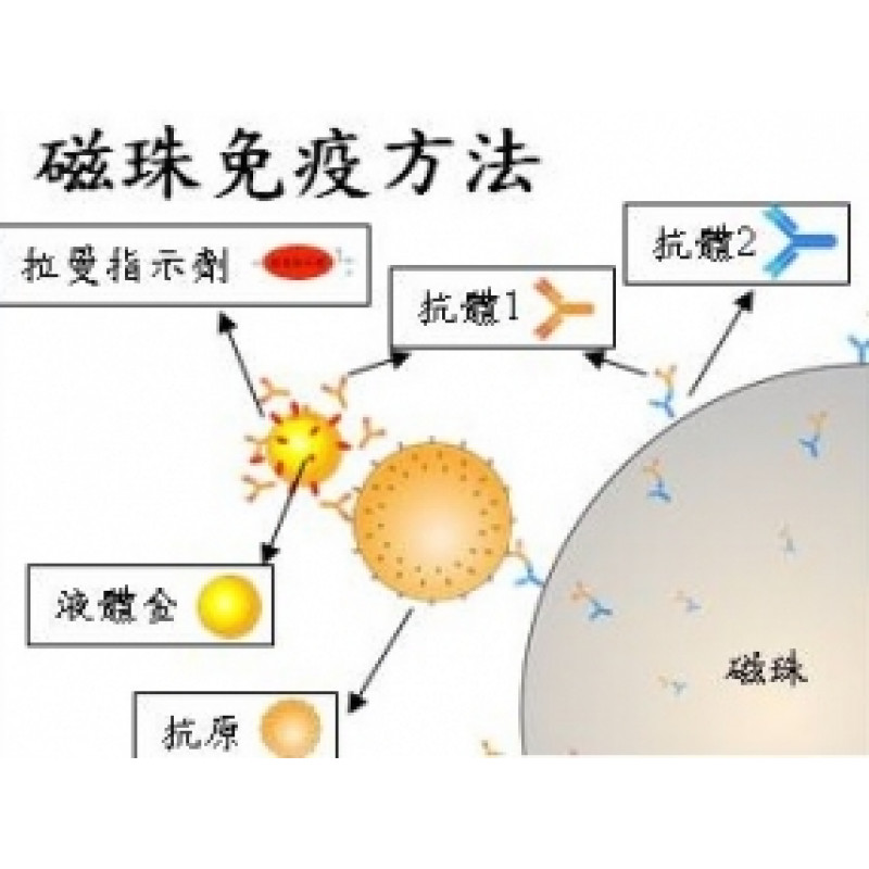 紅外線螢光抗體戶外疾病檢測平台