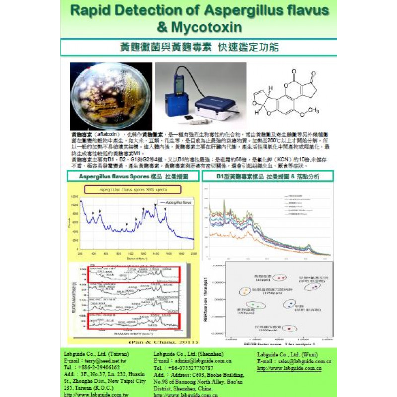 黃麴黴菌與黃麴毒素快速鑑定