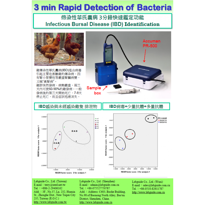 傳染性華氏囊病IBD雞腎病 3分鐘快速鑑定功能