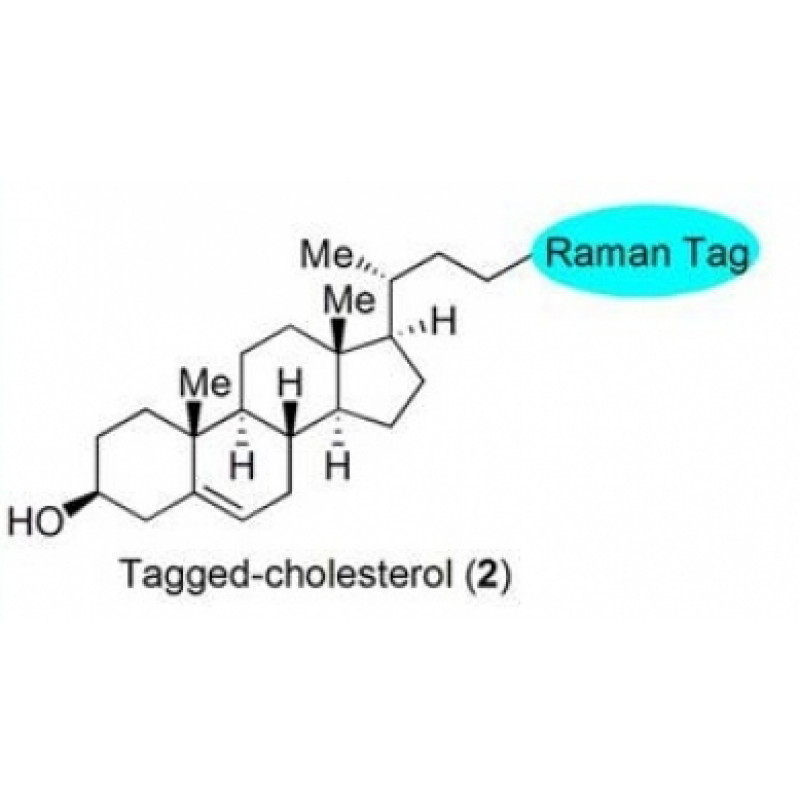 拉曼抗體法-膽固醇