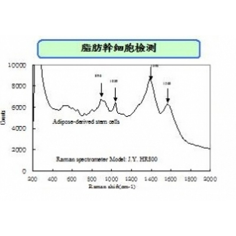 拉曼幹細胞、癌症檢測