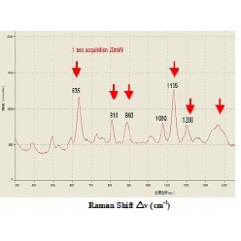 Raman in animal disease and food safety