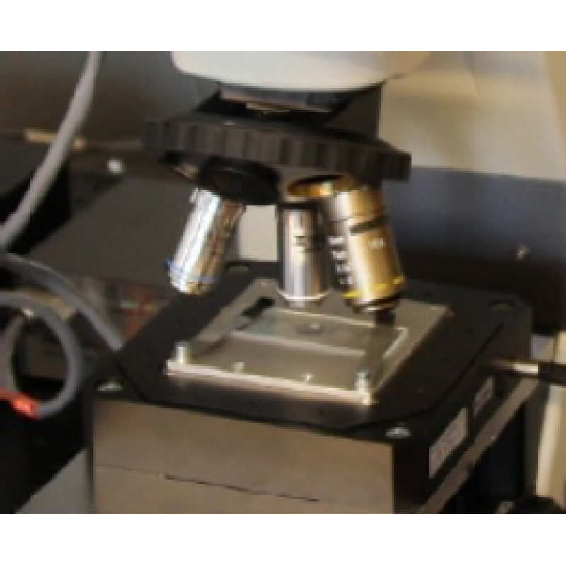 多光子聚合雷射共焦顯微鏡