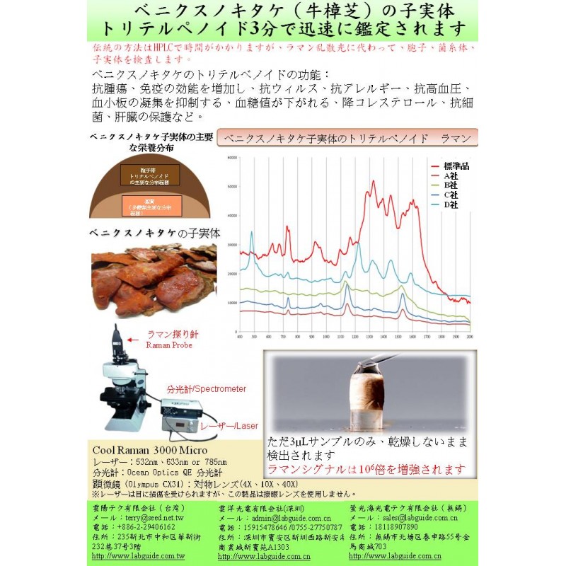 牛樟芝快速鑒定(日文)