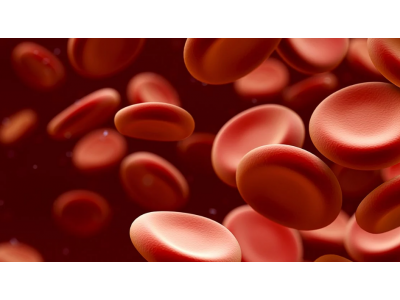 Whole Blood Analysis using UV-Vis Spectroscopy