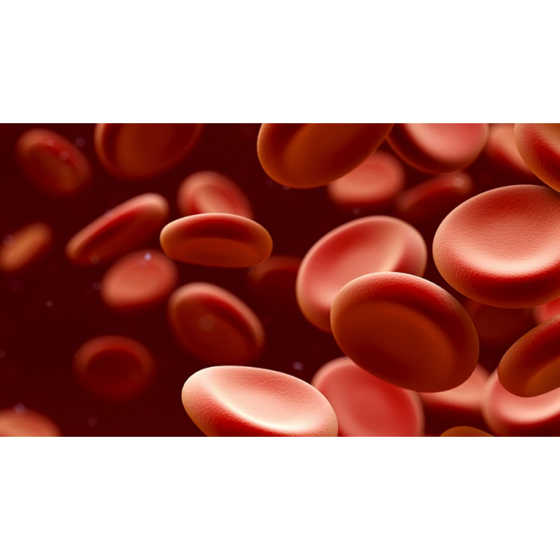 Whole Blood Analysis using UV-Vis Spectroscopy